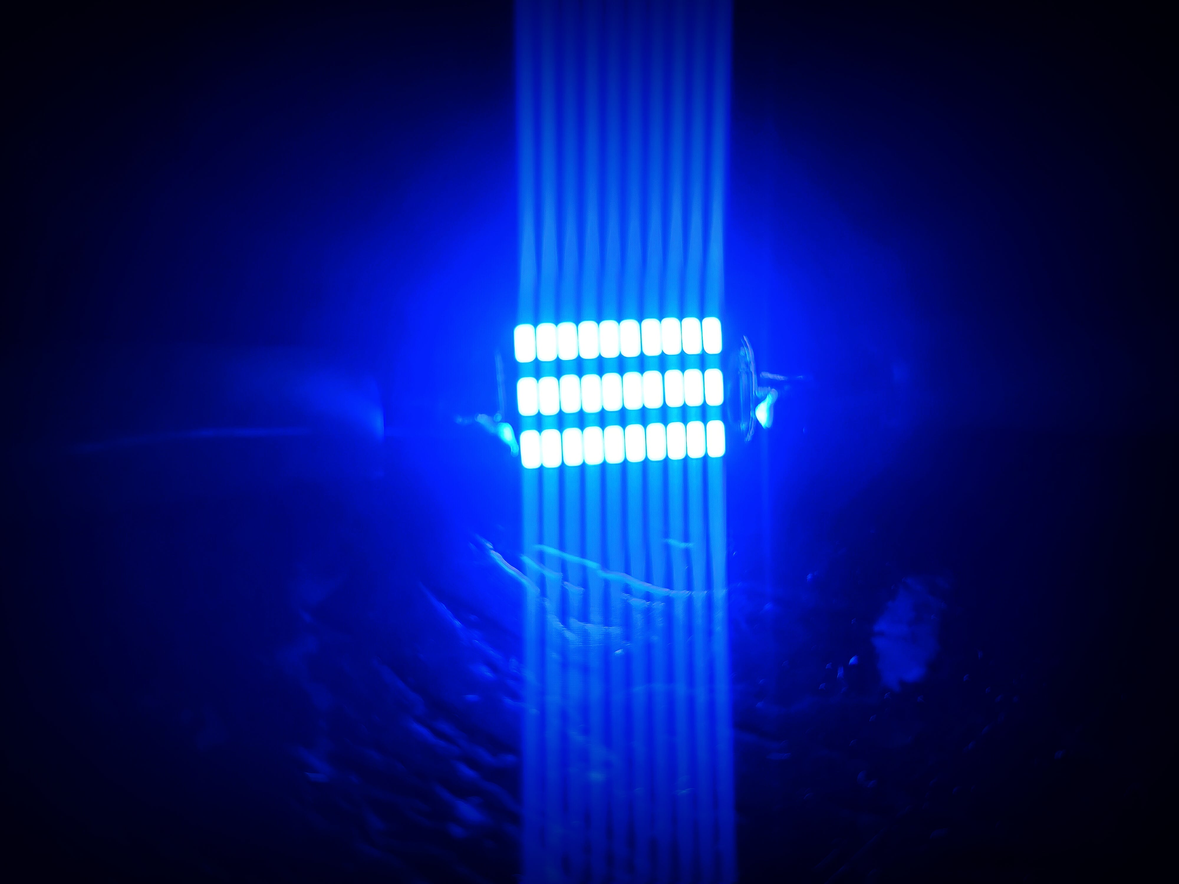 x1 Ice Blue C5W LED Canbus Car Interior Globe