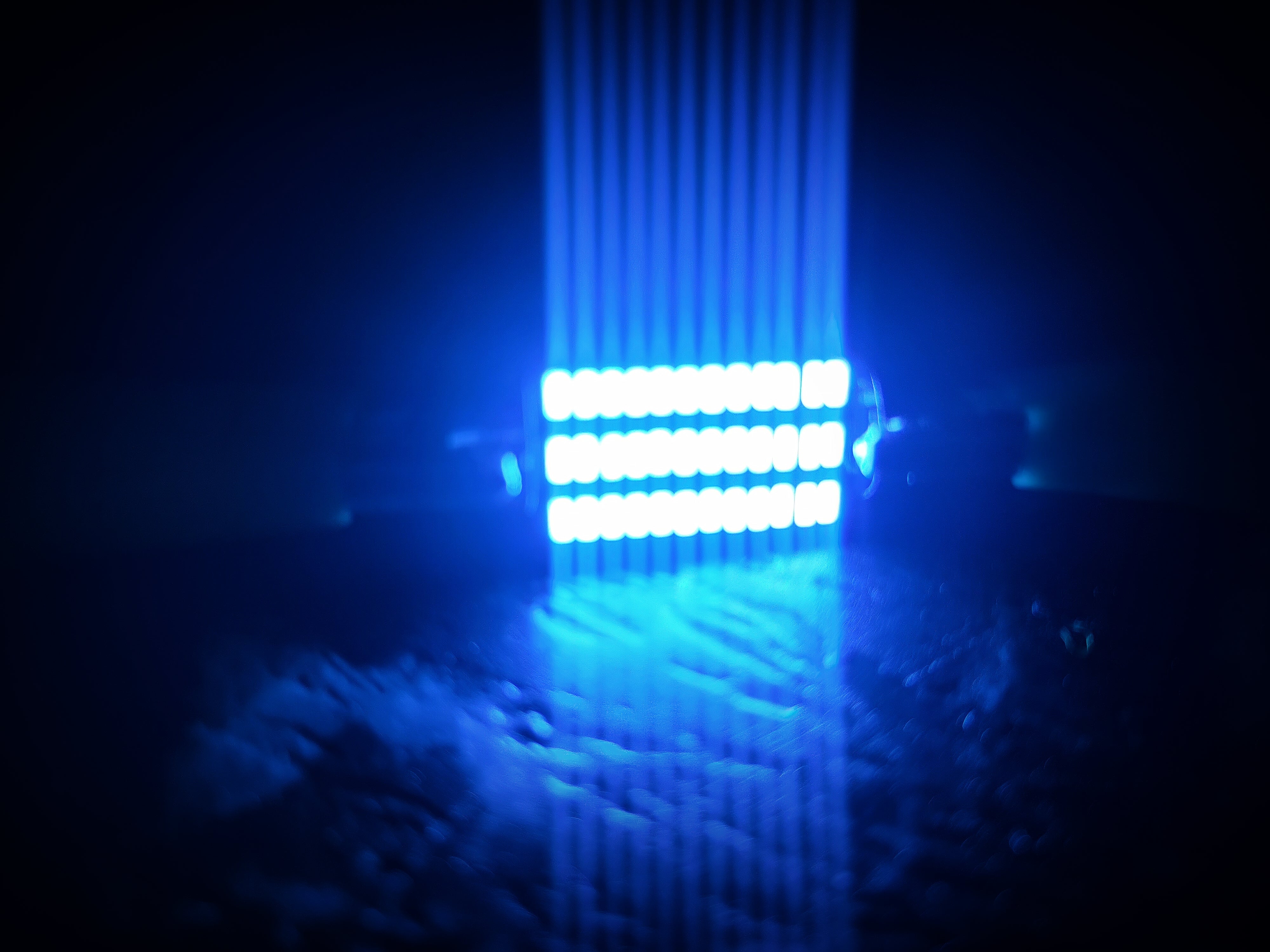 x1 Ice Blue C5W LED Canbus Car Interior Globe