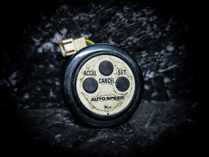 Auto Speed JDM Original Cruise Control Horn set