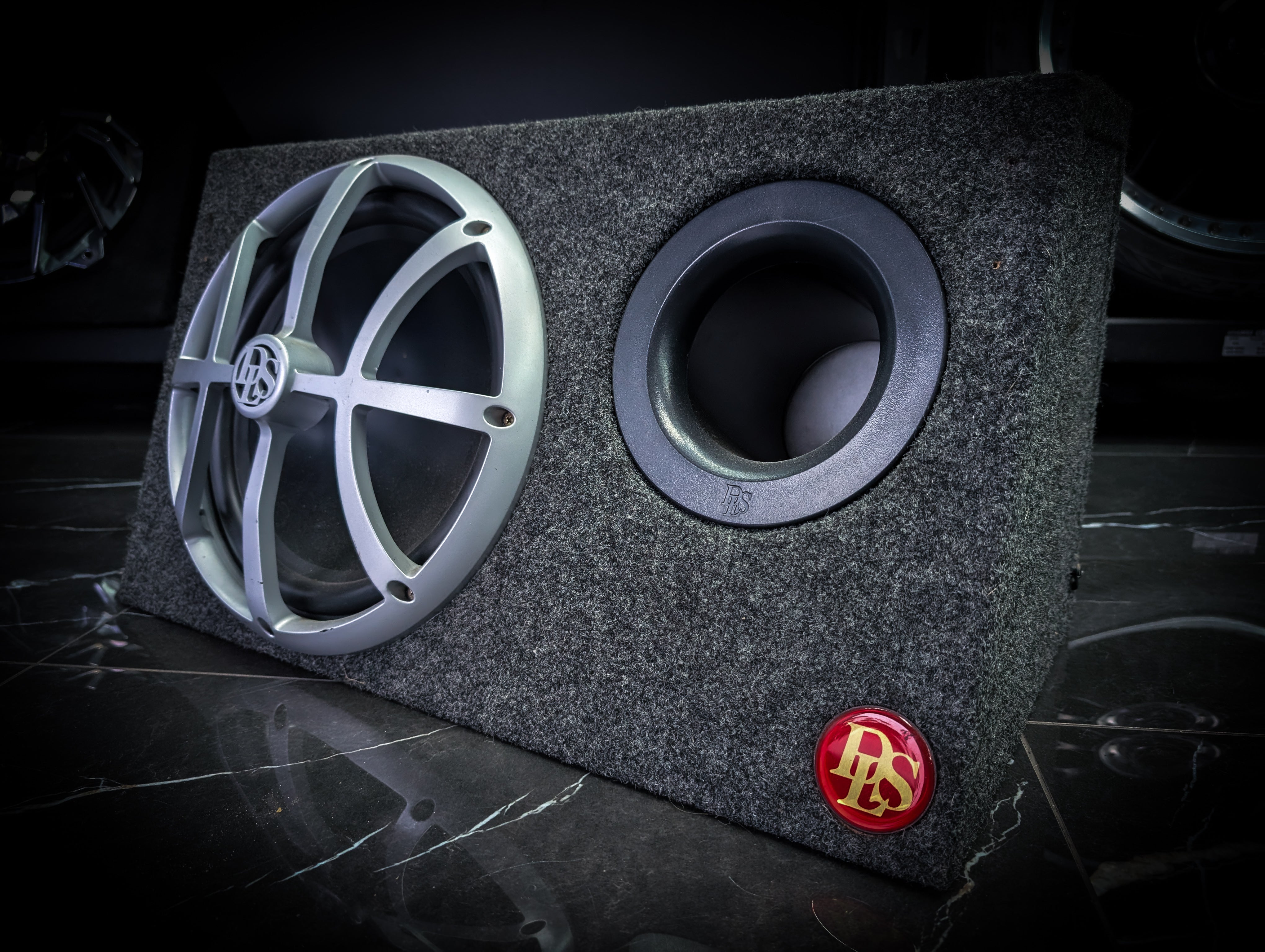 12" RARE DLS 600watt in Original Ported Enclosure