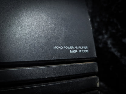 ALPINE 1000watt RMS Monoblock Amplifier